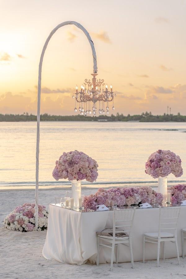 Flower, Photograph, Sky, Decoration