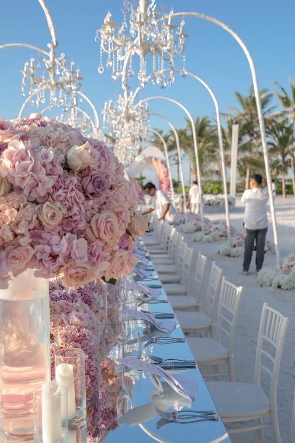 Sky, Table, Plant, Flower