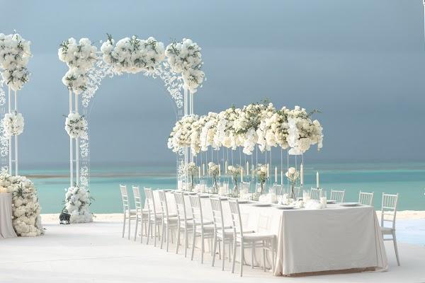 Furniture, Decoration, Table