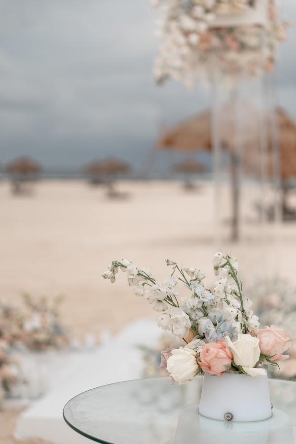 Flower, Plant, Sky