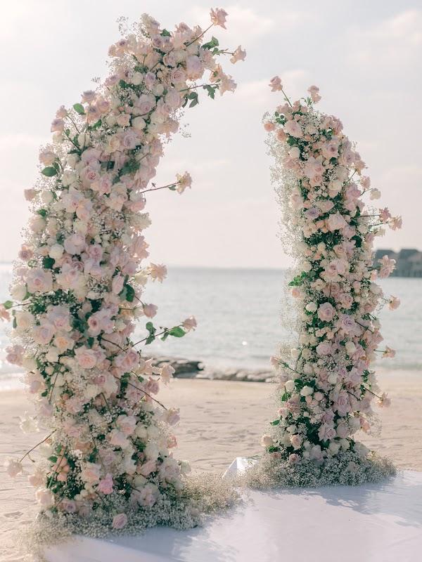 Water, Plant, Flower