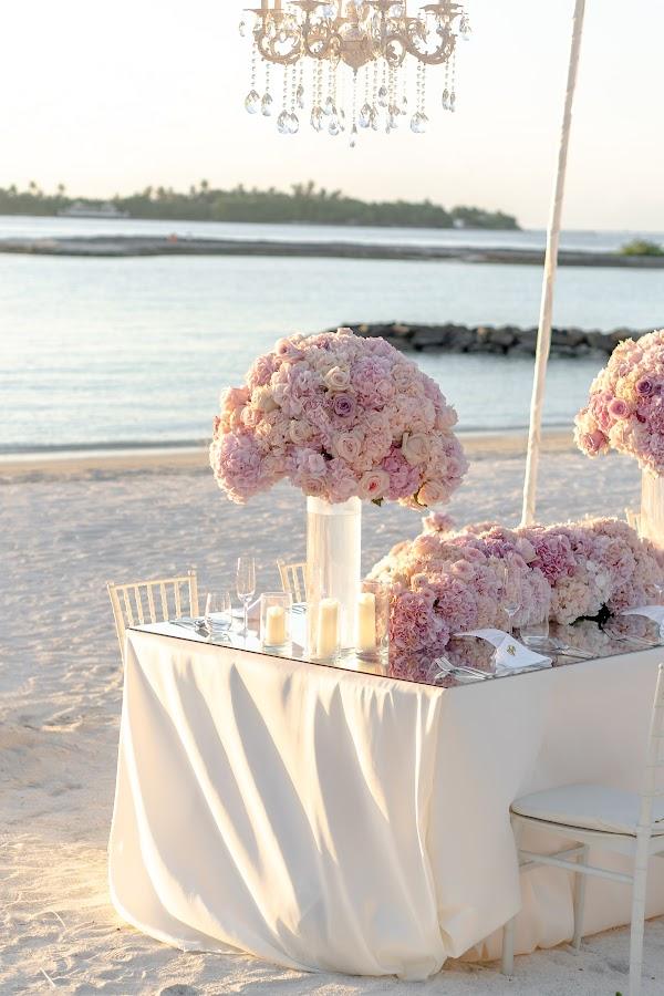 Plant, Flower, Tableware, Table