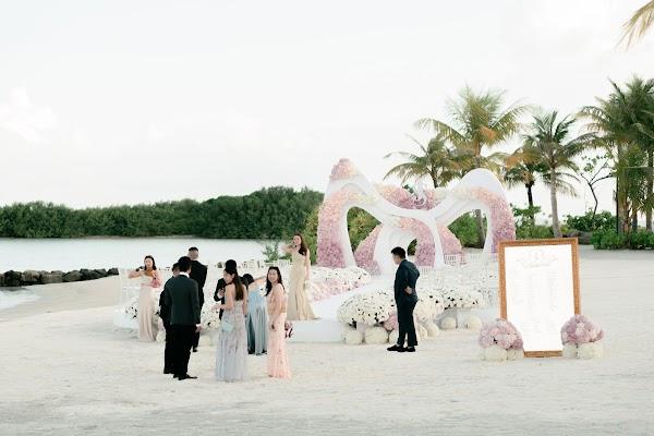 Wedding dress, Bride, Sky, Nature
