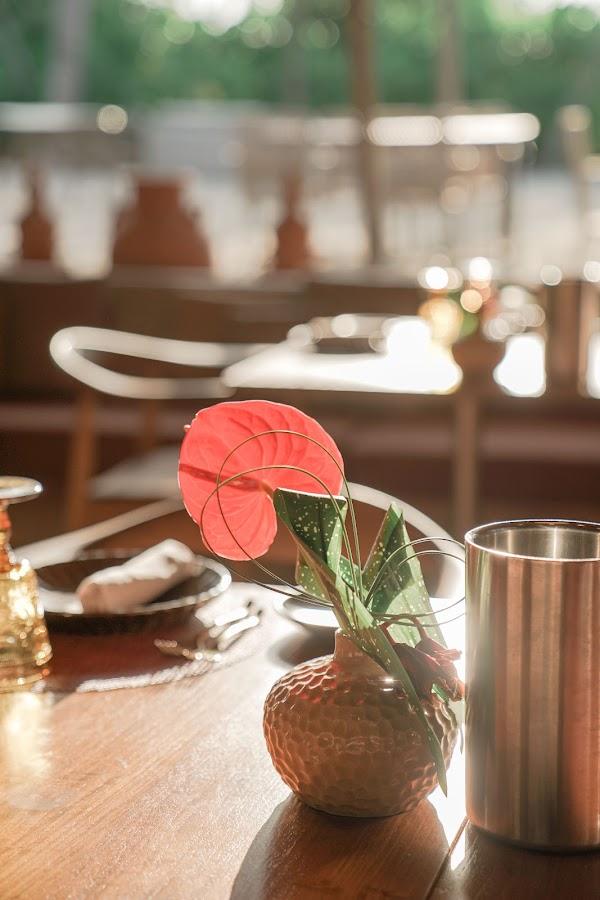Ritz Carlton Festive — The Ritz-Carlton Maldives, Fari Islands, Kaafu Atoll, Maldives — frame 7