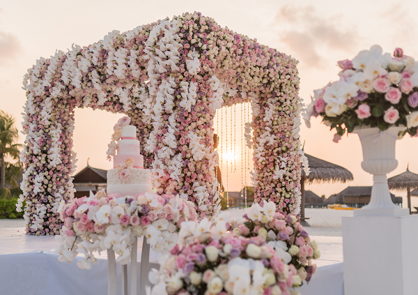 Flower, Cloud, Plant, Decoration