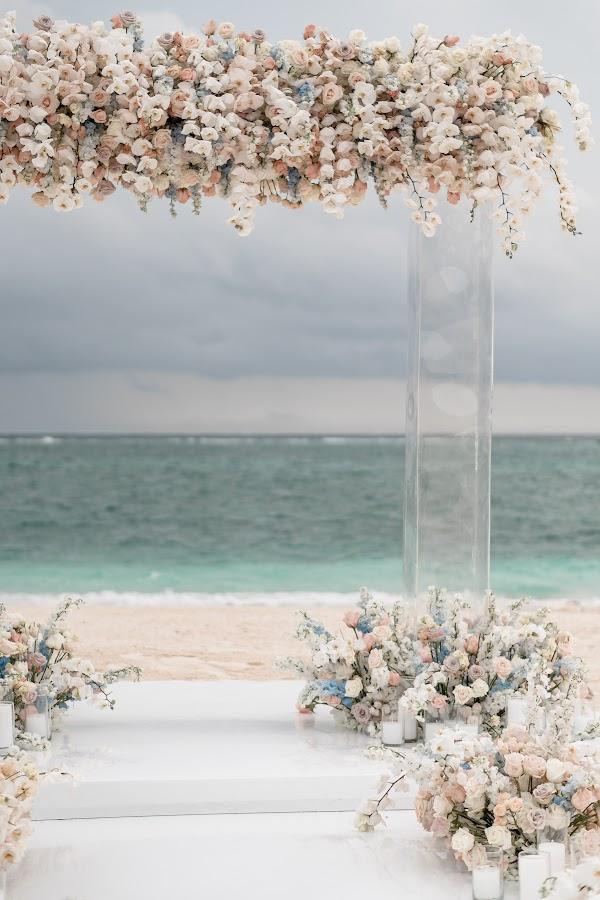 Flower, Plant, Nature, Water