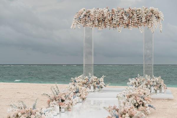 Flower, Water, Cloud, Sky