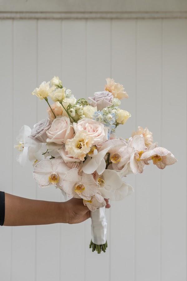 Plant, Flower, Petal